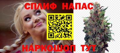 трава Партизанск