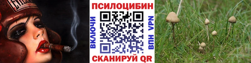 Псилоцибиновые грибы Psilocybine cubensis  Сыктывкар 